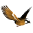 yosibosi111