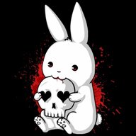 Mr.bunny