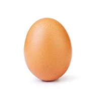 Eggplc
