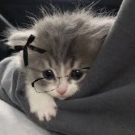 drkitten
