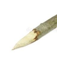 Z_splinter_Z