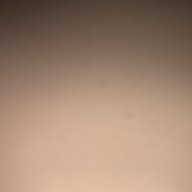 whyscarz