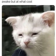 ergghheeheh