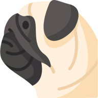 blackbirdam