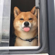 gfkekrgh