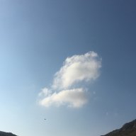 Tsaros