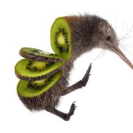 generalm8