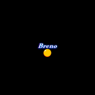 brn01