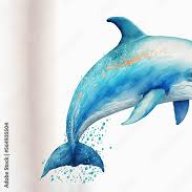 dolfin
