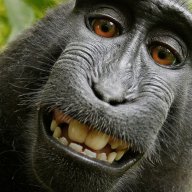 haha1