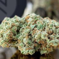 herbzzilla