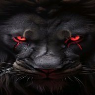 Black lion