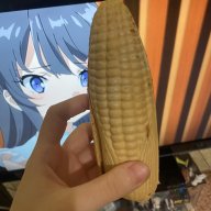 Баклан