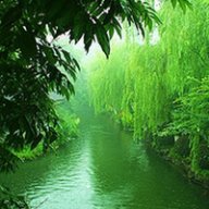 听窗外的雨滴