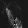 blackmare