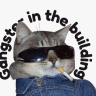 imacat
