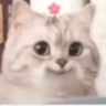 Shuju666