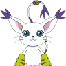 Gato
