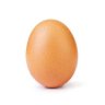 Eggplc