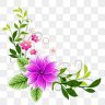 monev217