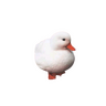 jancokjaran