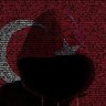 karahanli311