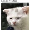 ergghheeheh