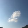 Tsaros