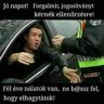 bogyo65