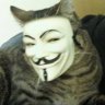 hackcat