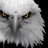 EagleEye