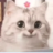 Shuju666