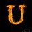 UniBases