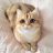 Catbad