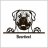boerboel