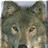 GeoHoppe