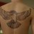 brunofelipe1
