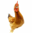 ChickenCrazy