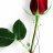 xnxx___xnxx