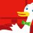 duck110