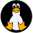 tim3.