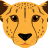 oxyovo