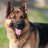 Thegshep