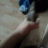 draven420
