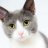 new_cat