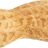 ballsack18