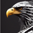 sqlmap