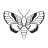 MThatcher23